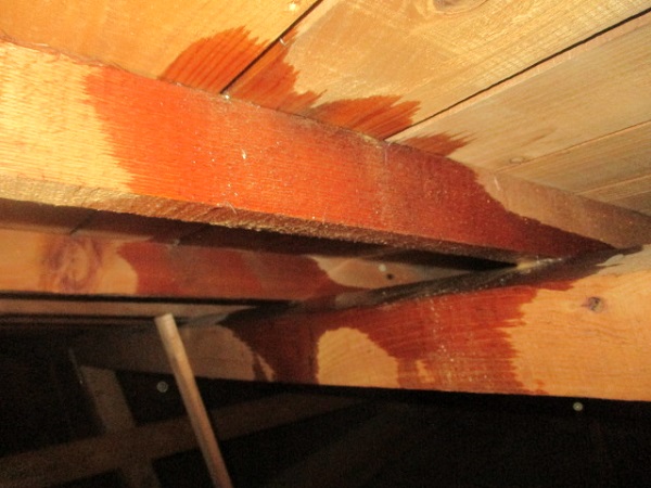 屋根の雨漏りの放置は危険 早めに修理しないと二次被害のリスクも マイナビニュース 外壁塗装の窓口